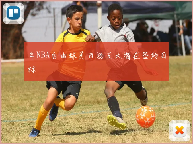 年NBA自由球员市场五大潜在签约目标