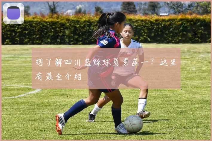 想了解四川蓝鲸球员景菡一？这里有最全介绍